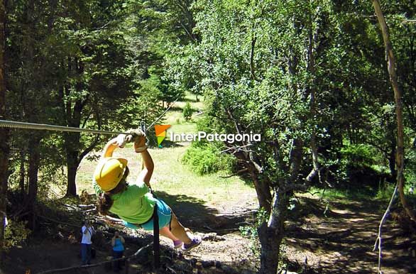 Vuelo sobre los rboles - Villa La Angostura