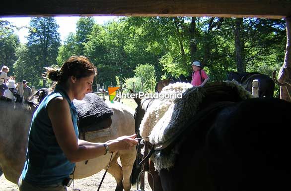 Horseback riding in Villa - Villa La Angostura