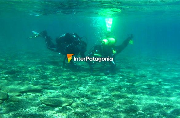 SCUBA diving in the Nahuel Huapi - Villa La Angostura