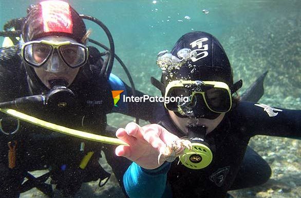 Southern crystal-clear waters, Nahuel Huapi - Villa La Angostura