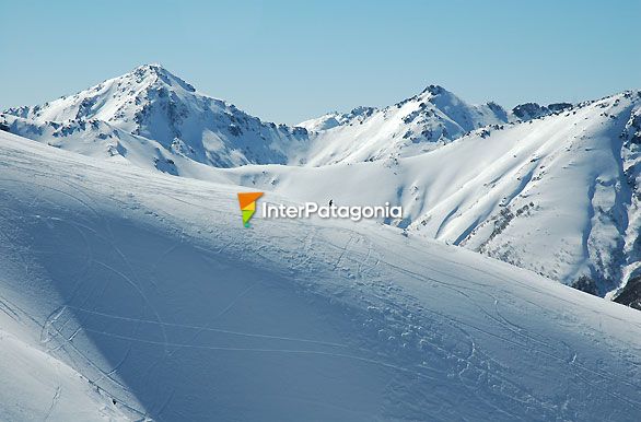 Solitario fuera de pista, Cerro Bayo - Villa La Angostura