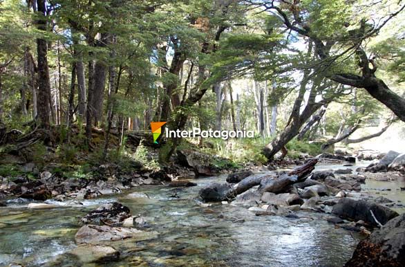 Paisajes de 7 Lagos - Villa La Angostura