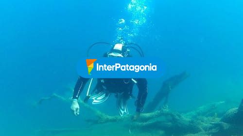 Buceo