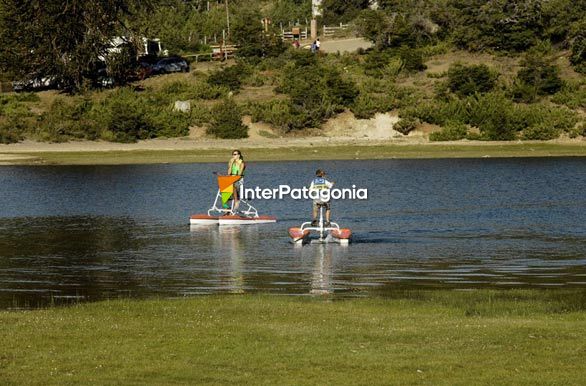 Bicicletas de agua - Villa Pehuenia / Moquehue