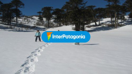 Caminatas con raquetas