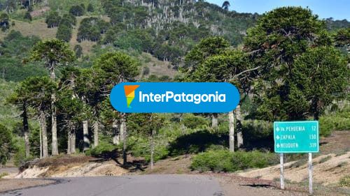 Paso Icalma