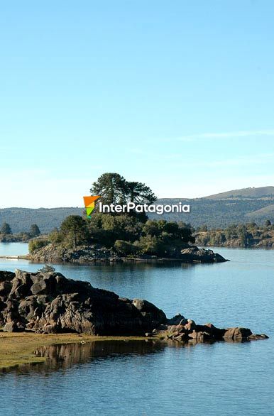 La isla - Villa Pehuenia / Moquehue