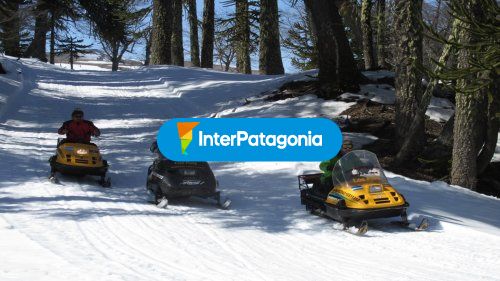 Motos de nieve
