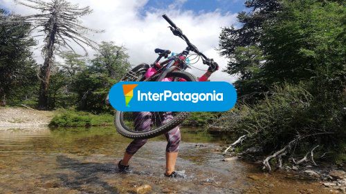 Mountain bike