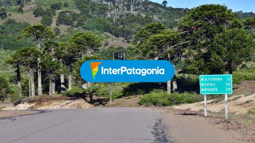 Paso Icalma