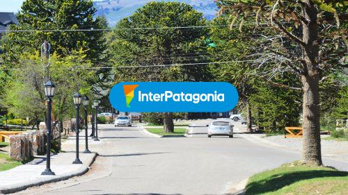 Pehuenia centro