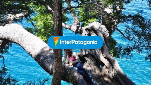 Disfrutando el paisaje