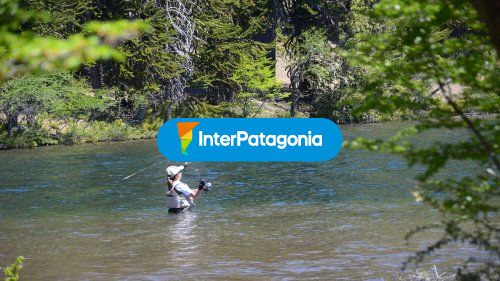 Pesca con mosca