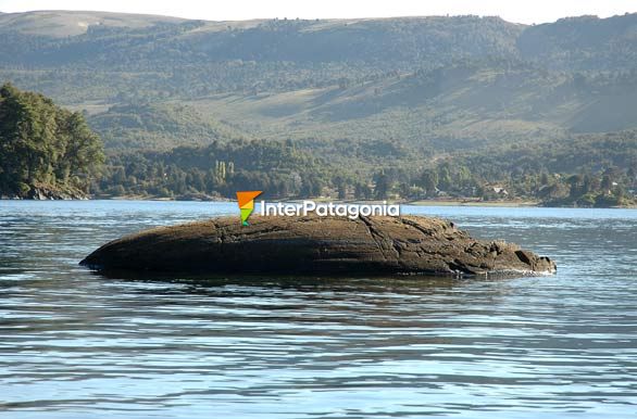 Paisaje del lago Alumin - Villa Pehuenia / Moquehue