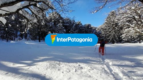 Raquetas en invierno