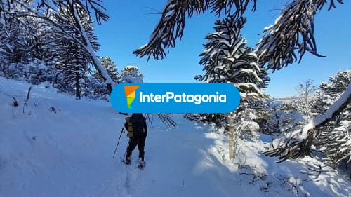 Raquetas en invierno