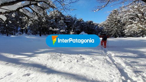 Raquetas en invierno