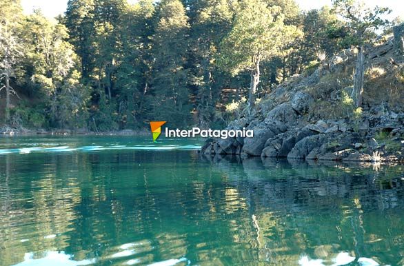 Aguas cristalinas - Villa Pehuenia / Moquehue