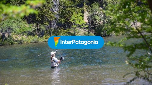 Pesca con mosca