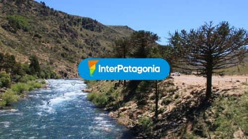 Hermoso día para hacer rafting
