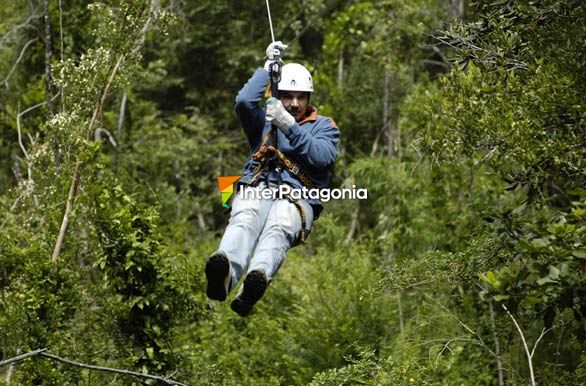 Canopy - Villarrica