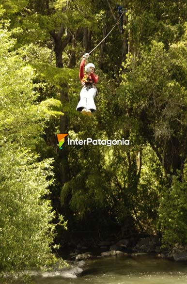 Canopy en el ro - Villarrica