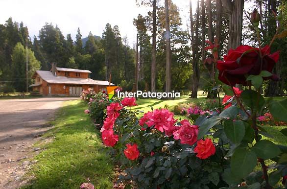 Rosas en el Centro Cvico - Villa Traful