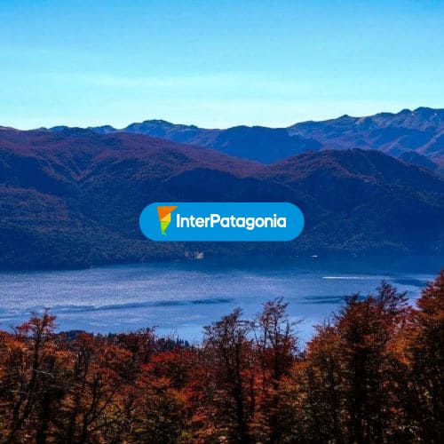 Lago y Lengas