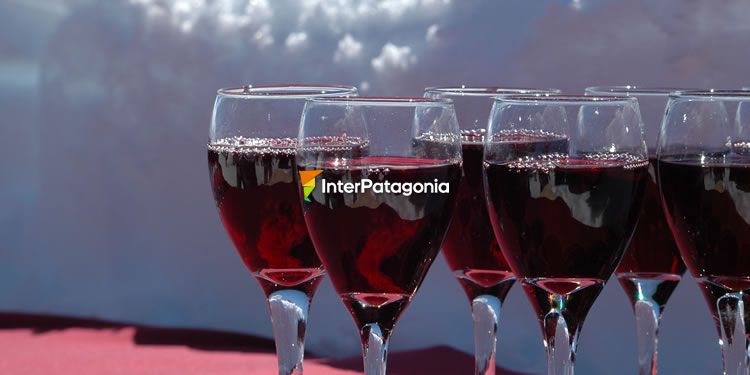 Patagonia Wines