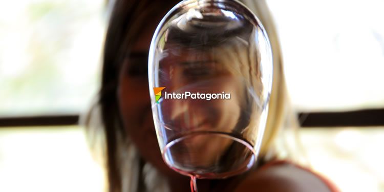 Vinos Patagonicos