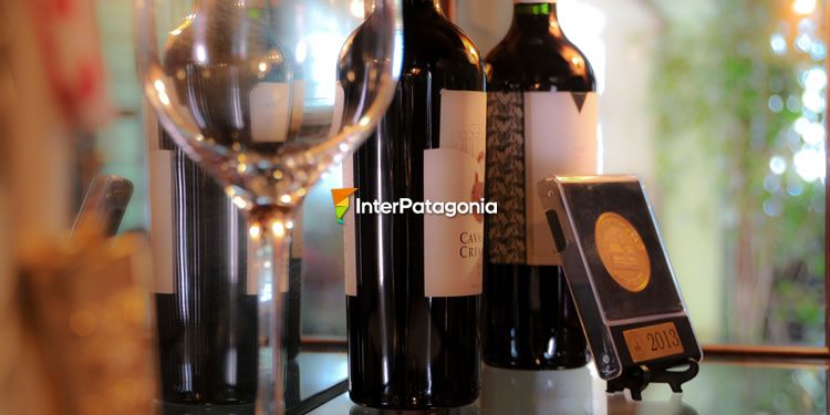 Patagonia Wines