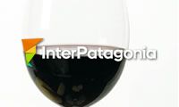 Vinos Patagonicos