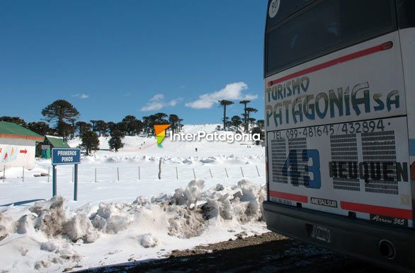 Turismo en invierno - Zapala