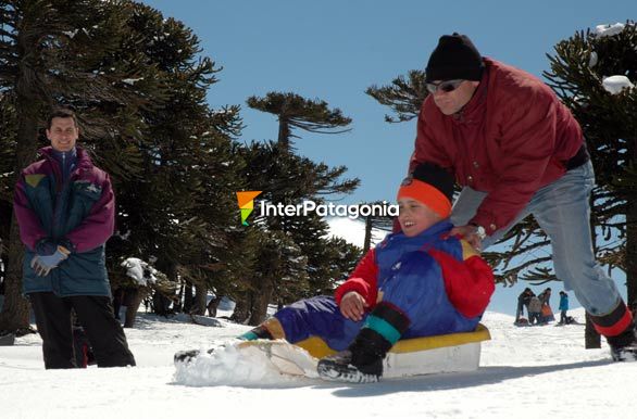 Experiencia invernal - Zapala