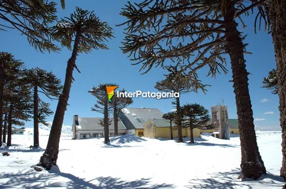 Parque de nieve, Primeros Pinos - Zapala