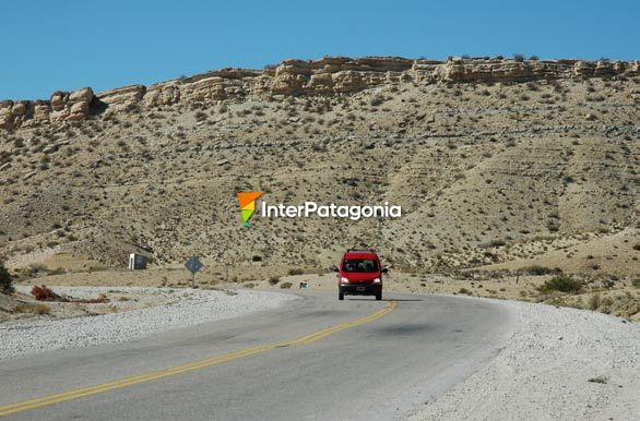 Camino a Zapala - Zapala